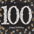 Sparkling Celebration, Beverage Napkin, Happy Birthday 100 (16ct)