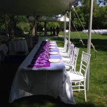 Purple Mesh Table Runner used on Head Table with White Table Linen
