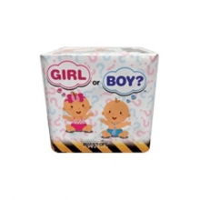 Firework Cake - Gender Reveal - Girl or Boy